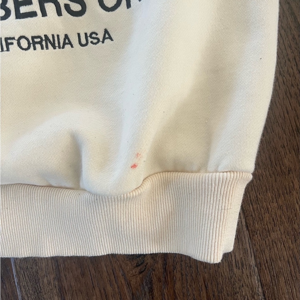 Dandy Worldwide Hoodie - Picture 4 of 4